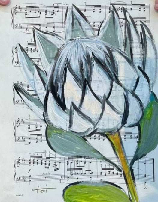 Music Sheet Blanco Protea FLASH SALE