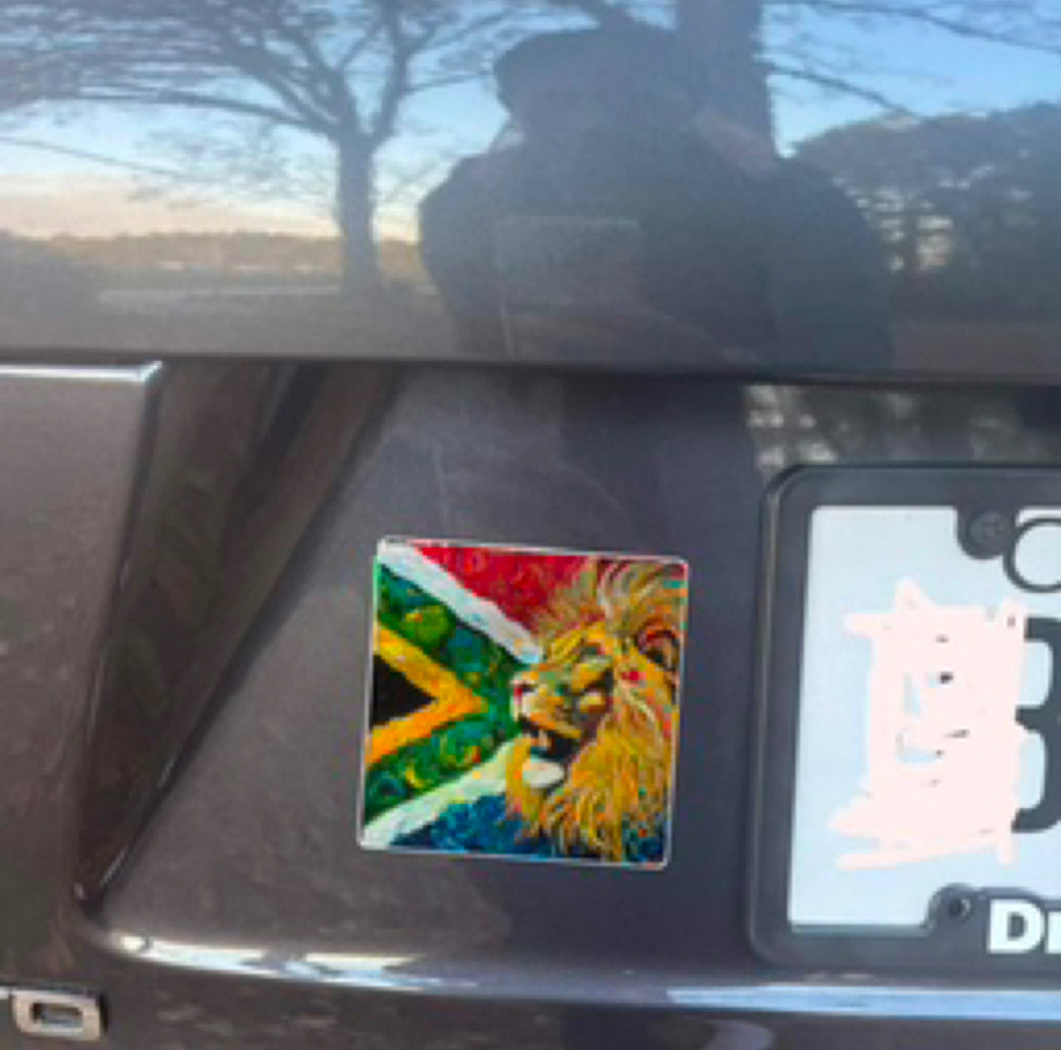 Car Decal SA lion Sticker